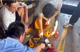 Phát hiện, thu giữ 145 kíp nổ và 1kg thuốc nổ trên tàu cá