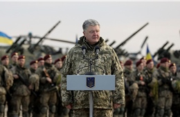 Tại sao vụ đụng độ trên biển cho thấy NATO không nên kết nạp Ukraine?