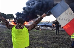 Năm 2019, phương Tây sẽ chật vật cứu vãn nền dân chủ 