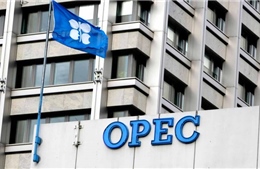 Qatar dứt áo ra đi, OPEC có giữa đường đứt gánh?