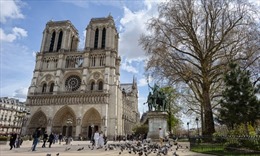Tại sao Nhà thờ Đức Bà Paris lại quá nổi tiếng?