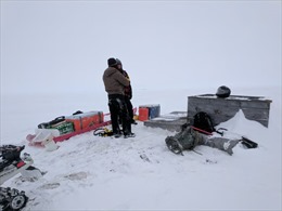 Phát hiện vi khuẩn sống khỏe trong túi nước siêu mặn, siêu lạnh tại Bắc Cực