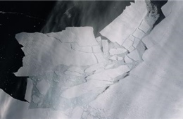 Xem tảng băng khổng lồ vỡ vụn khi tách khỏi sông băng Nam Cực