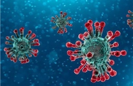 Corona và sự liên quan giữa virus với biến đổi khí hậu