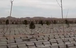 Dịch COVID-19 khiến nghĩa trang tại Iran quá tải