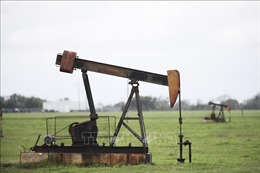 Viễn cảnh thị trường dầu mỏ thế giới sau khi giá lao dốc xuống mức âm