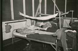 Cuộc chiến của quân đội Mỹ với bệnh sốt rét trong Thế chiến II - Kỳ 1