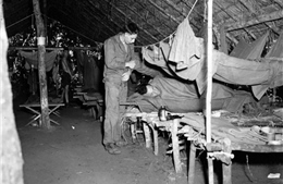Cuộc chiến của Lục quân Mỹ với bệnh sốt rét trong Thế chiến II - Kỳ cuối