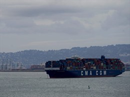 Cảng ở California tắc nghẽn tàu container không khác gì sự cố kênh đào Suez