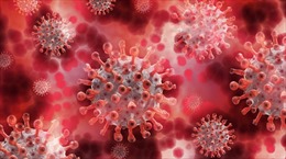 Người Nam Phi nhiễm HIV mắc COVID-19 suốt 216 ngày, virus biến đổi 32 lần trong cơ thể
