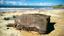 Hàng trăm thùng hàng bí ẩn dạt vào bãi biển đầy dầu ở Brazil