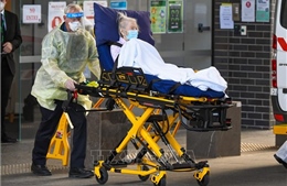 COVID-19 tới 6h sáng 17/9: Thế giới có 527.000 ca mắc mới; Mỹ có thêm 1.700 ca tử vong