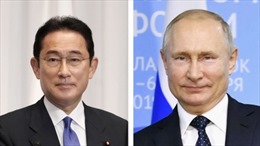 Thủ tướng Nhật Bản và Tổng thống Nga điện đàm, bàn về tình hình Ukraine