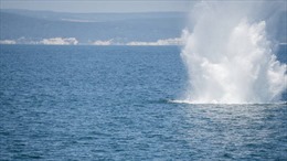 Nga cảnh báo nguy cơ từ thuỷ lôi hải quân Ukraine trôi giạt trên Biển Đen