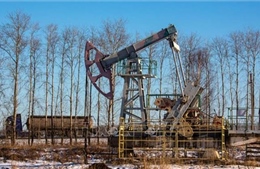 Cảnh báo giá dầu có thể đạt 200 USD/thùng nếu Nga bị cấm vận năng lượng