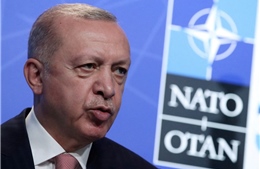 Đằng sau động thái Thổ Nhĩ Kỳ phản đối Phần Lan, Thụy Điển gia nhập NATO