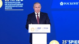 Tổng thống Putin ước tính EU thiệt hại 400 tỷ USD/năm vì trừng phạt Nga