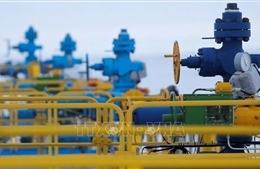 Lý do nguồn thu của Nga không giảm dù ngừng bán khí đốt cho nhiều nước