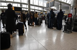 Quá tải hành khách, sân bay Heathrow của Anh yêu cầu ngừng bán vé đến hết hè