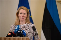 Estonia muốn tịch thu vũ khí của người Nga và Belarus ở nước này