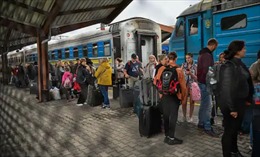Bấp bênh về việc làm và chỗ ở, người tị nạn Ukraine vỡ mộng ở EU