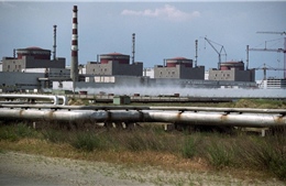 Tổng thống Putin ký sắc lệnh coi nhà máy điện hạt nhân Zaporozhye ở Ukraine là tài sản Nga