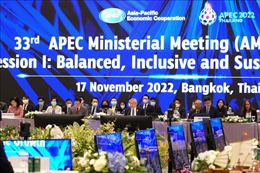 Sau hội nghị ASEAN và G20, giới ngoại giao nỗ lực giải quyết vấn đề Ukraine ở APEC