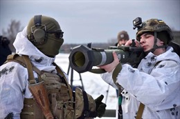 Lo vũ khí rơi vào thị trường đen, quân đội Mỹ cử thanh tra tới Ukraine