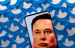 Các công ty công nghệ tìm cách thu hút nhân viên vừa bị Twitter sa thải