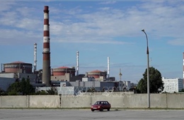 Quan chức Ukraine: Phải giành lại nhà máy điện hạt nhân Zaporizhzhia bằng vũ lực