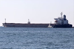 Tàu hàng chở ngô từ Ukraine đến Trung Quốc bị mắc cạn ở kênh đào Suez