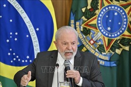 Brazil ủng hộ giải pháp hòa bình cho cuộc khủng hoảng Ukraine