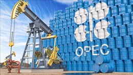 OPEC+ bắt đầu nhóm họp