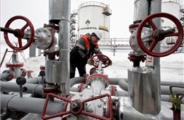 EU không có kế hoạch thay đổi trần giá dầu Nga