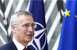 Hội nghị thượng đỉnh NATO sẽ bàn kế hoạch ba điểm cho Ukraine
