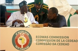 Hầu hết quốc gia Tây Phi sẵn sàng tham gia lực lượng dự phòng ở Niger