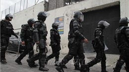Điểm lại những lần Ecuador chìm trong bạo lực vì băng đảng tội phạm