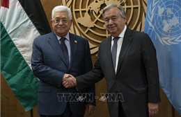 Tác động ngoại giao, quân sự sau khi 3 nước châu Âu công nhận nhà nước Palestine