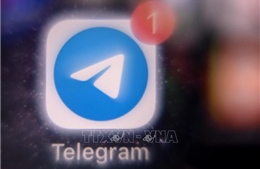 Vai trò quan trọng của Telegram trong cuộc xung đột Nga - Ukraine