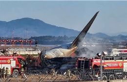 Hồ sơ an toàn vượt trội suốt 30 năm của mẫu Boeing &#39;chiến mã&#39; vừa gặp nạn ở Hàn Quốc