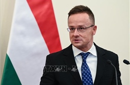 Hungary hủy cuộc họp về dân tộc thiểu số với Ukraine do các cáo buộc gián điệp