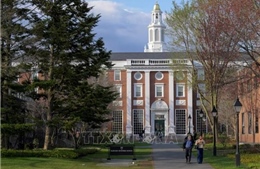 Chính quyền Tổng thống Trump cắt thêm 450 triệu USD tiền tài trợ cho Đại học Harvard