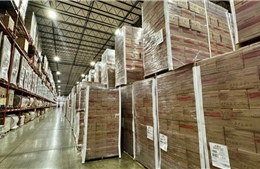 Mỹ cắt viện trợ, lương thực cứu đói gần 100 triệu USD bị bỏ mốc trong kho