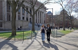 Sinh viên quốc tế tại trường Harvard sốc trước quyết định của Tổng thống Trump