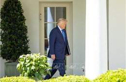 Tổng thống Trump tiết lộ lý do lãnh đạo châu Âu phải nhờ ông liên lạc với Tổng thống Putin