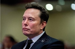 Tài sản của tỷ phú Elon Musk sụt giảm mạnh giữa bất đồng với Tổng thống Trump