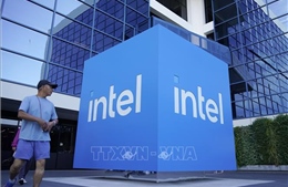 Nvidia rót 5 tỷ USD vào Intel, cuộc đua chip AI bước sang trang mới