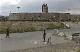 Phản ứng của Taliban và Trung Quốc khi Tổng thống Trump muốn trở lại căn cứ Afghanistan