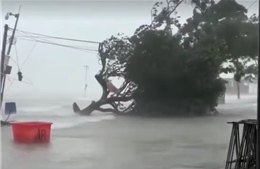 Video bão Matmo càn quét miền Nam Trung Quốc giữa cao điểm nghỉ lễ