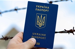 Mỹ dự định trục xuất hàng chục người Ukraine có tiền án về nước